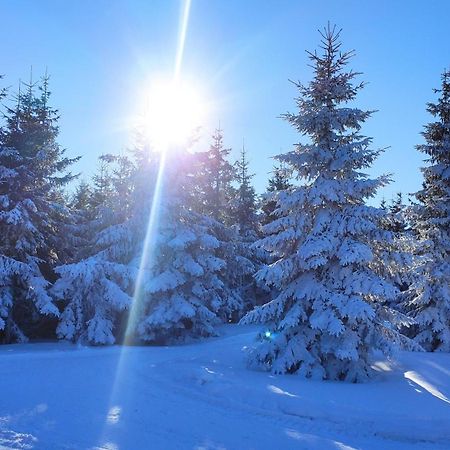 Domek Gloria Nad Jeziorem Zywieckim Exteriör bild
